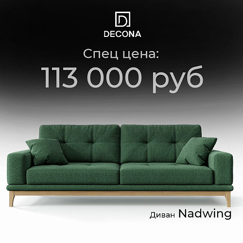 Спец цена Диван Nadwig
